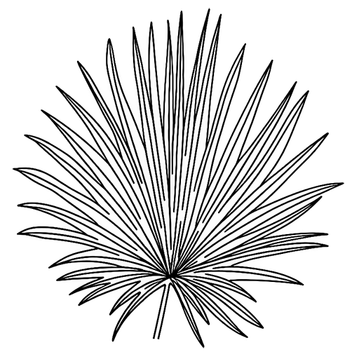 Le Vacoa